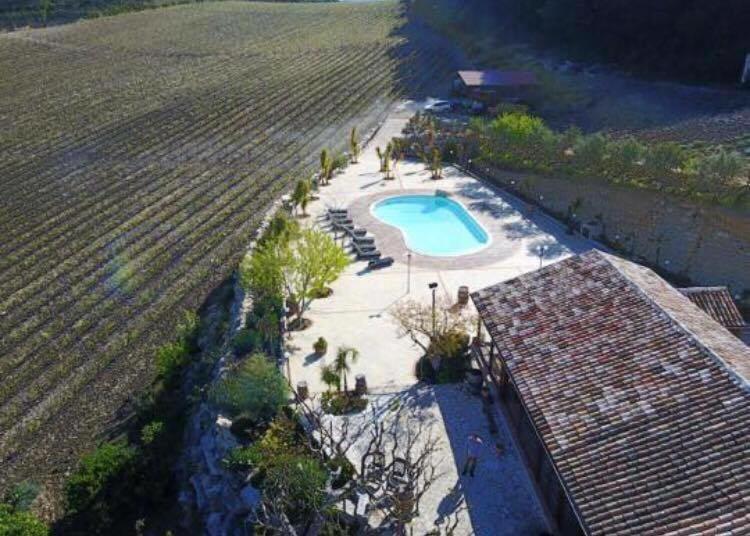 Agriturismo Tenute Pispisa Segesta Villa Calatafimi Eksteriør bilde