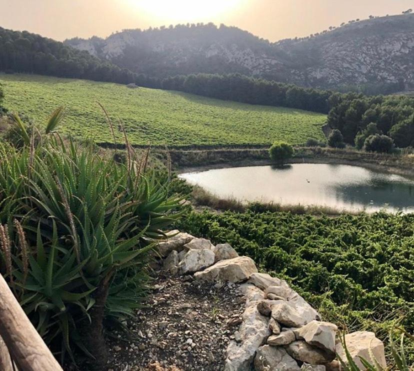 Agriturismo Tenute Pispisa Segesta Villa Calatafimi Eksteriør bilde