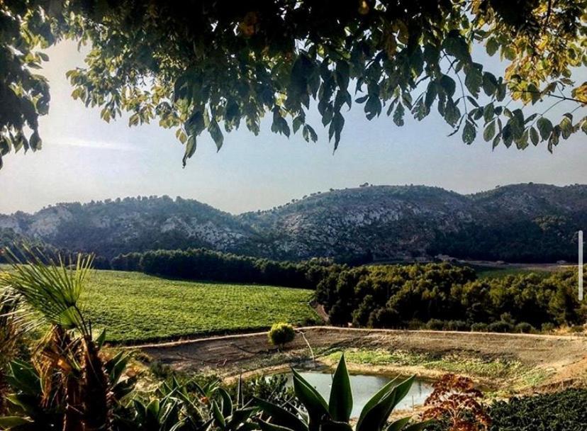 Agriturismo Tenute Pispisa Segesta Villa Calatafimi Eksteriør bilde