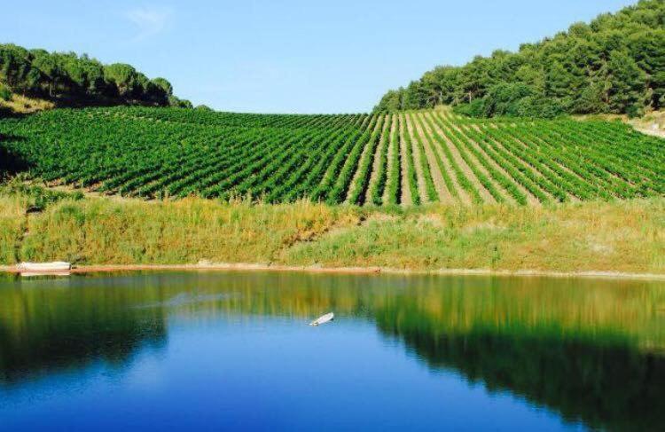 Agriturismo Tenute Pispisa Segesta Villa Calatafimi Eksteriør bilde