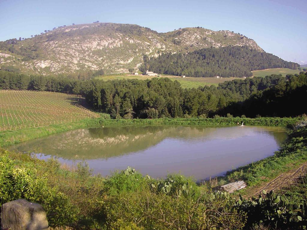 Agriturismo Tenute Pispisa Segesta Villa Calatafimi Eksteriør bilde