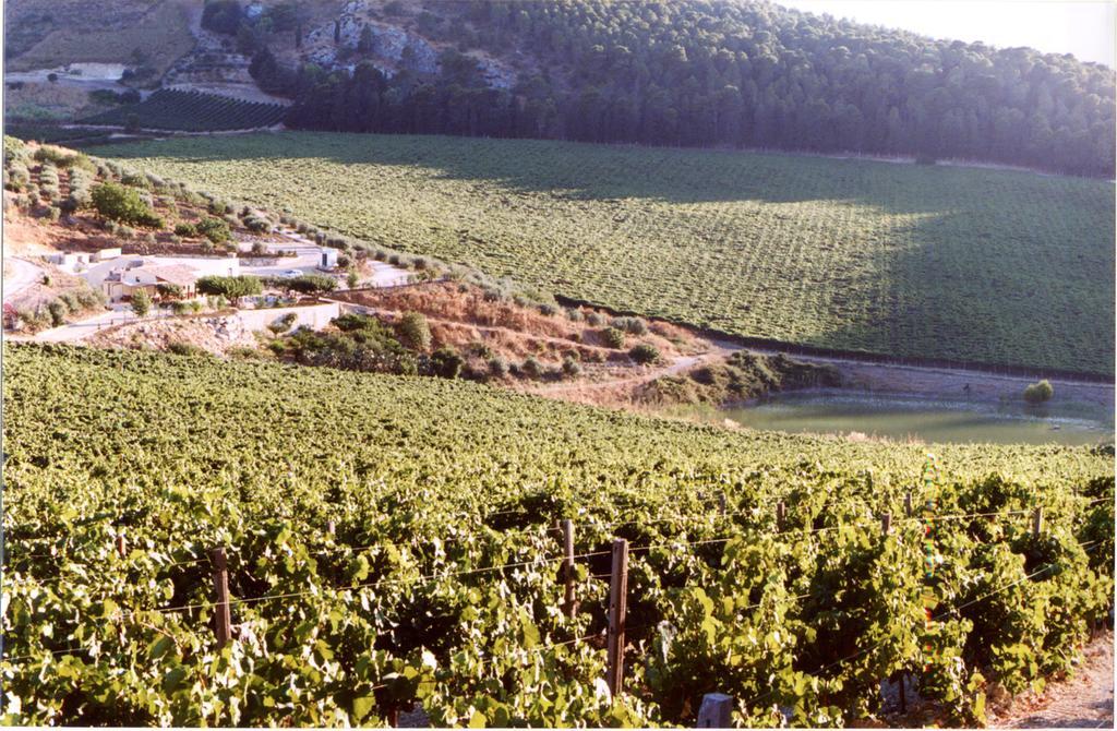 Agriturismo Tenute Pispisa Segesta Villa Calatafimi Eksteriør bilde