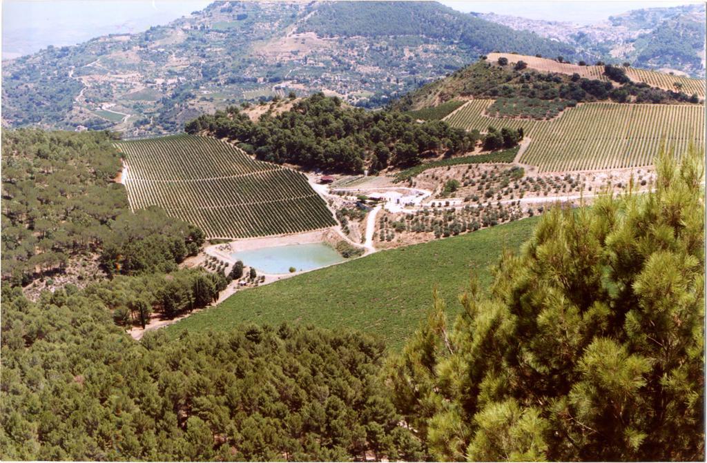 Agriturismo Tenute Pispisa Segesta Villa Calatafimi Eksteriør bilde