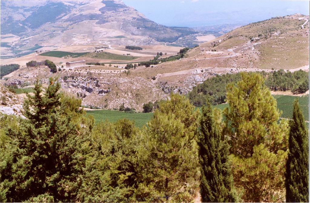 Agriturismo Tenute Pispisa Segesta Villa Calatafimi Eksteriør bilde