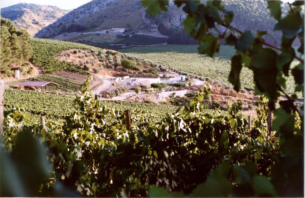 Agriturismo Tenute Pispisa Segesta Villa Calatafimi Eksteriør bilde