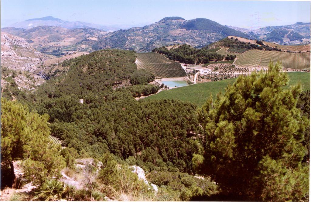 Agriturismo Tenute Pispisa Segesta Villa Calatafimi Eksteriør bilde