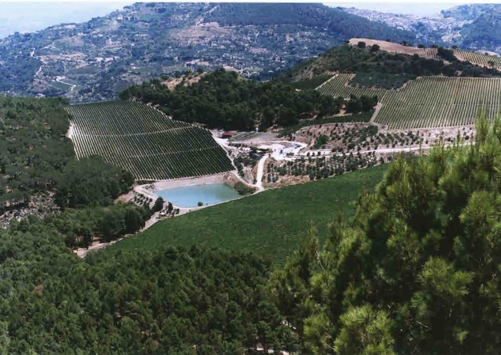 Agriturismo Tenute Pispisa Segesta Villa Calatafimi Eksteriør bilde